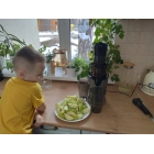 Шнековая соковыжималка RAWMID Greenery RGJ-04 