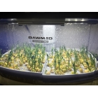 Микроферма RAWMID Dream Sprouter SDM-02 (проращиватель и выращиватель)