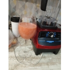 Блендер профессиональный RAWMID Dream Classic BDC-03 BPA-FREE