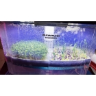 Микроферма RAWMID Dream Sprouter SDM-02 (проращиватель и выращиватель)