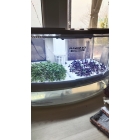 Микроферма RAWMID Dream Sprouter SDM-02 (проращиватель и выращиватель)