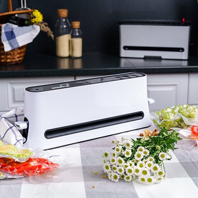 Вакуумный упаковщик для продуктов овощей фруктов мяса рыбы RAWMID Dream Modern VDM-01